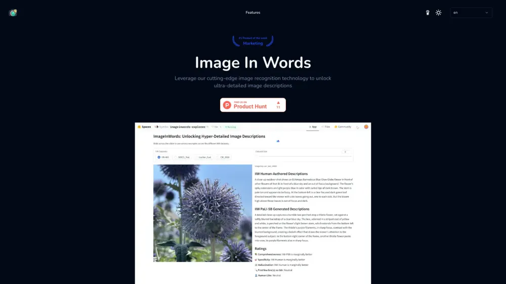 Image In Words